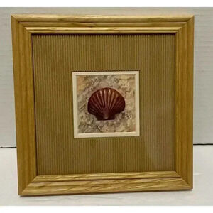 Arnie R Fisk Sea Shell Lithograph Print 3 1/8” Square‎  in 8.25” Square Frame